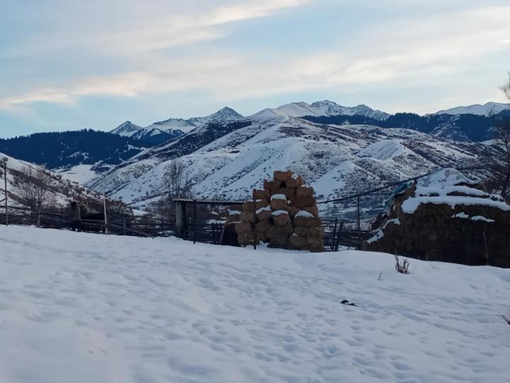 Kausar Guest House Karabulak Dış mekan fotoğraf